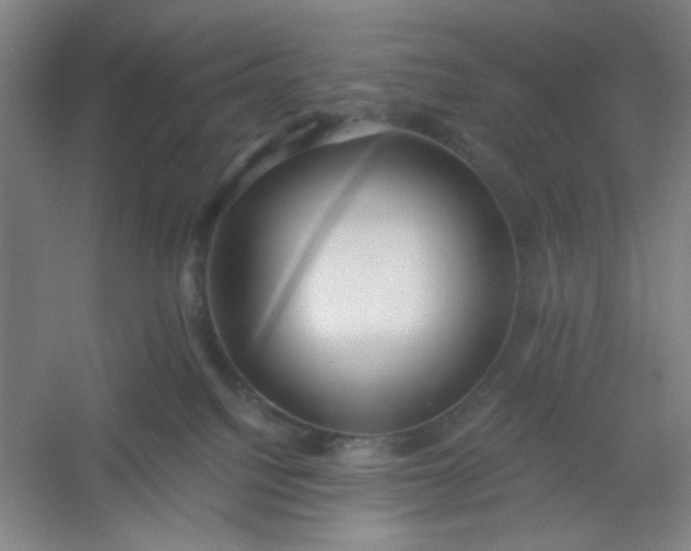 X0000054400088200508121710