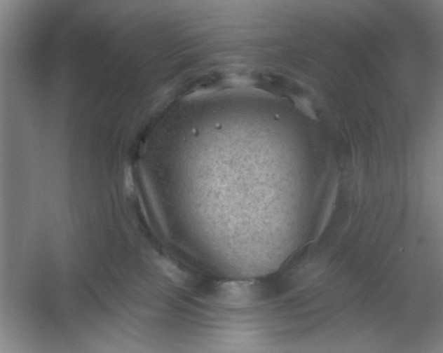 X0000054400089200508121710