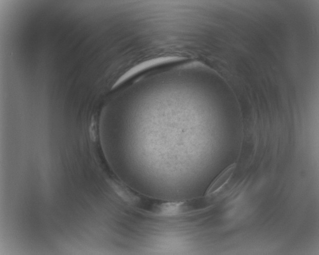 X0000054400090200508121710