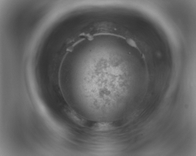 X0000054400093200508121710