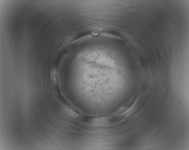 X0000054400094200508121710