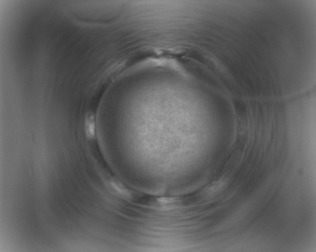 X0000054400095200508121710