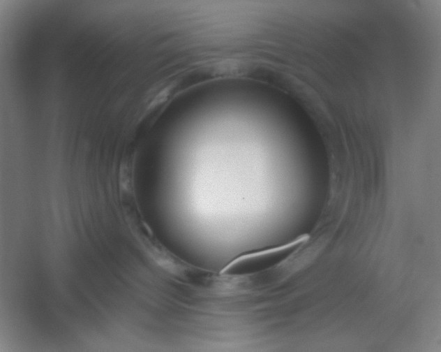 X0000054400096200508121710