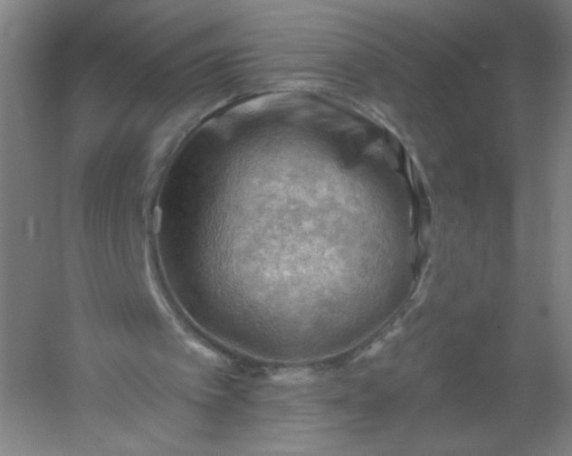 X0000054400097200508121709