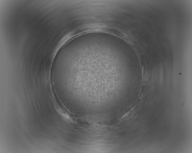 X0000054400099200508121709