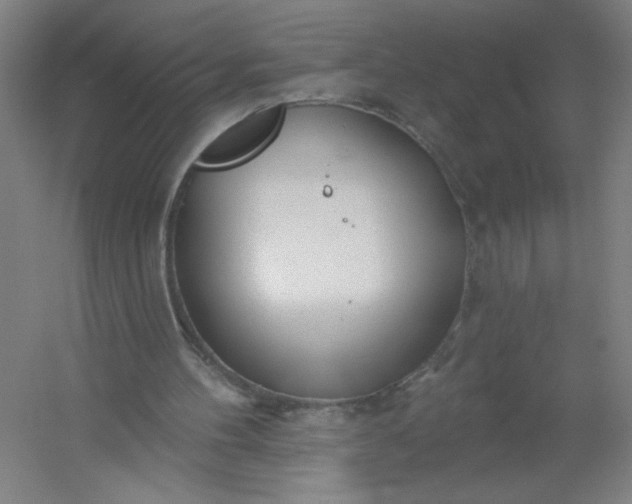 X0000054400100200508121709