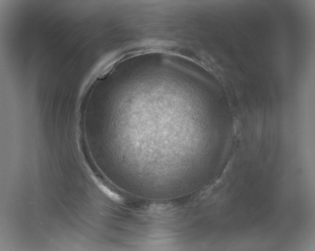 X0000054400101200508121709