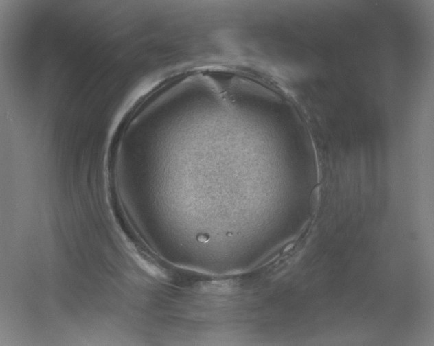 X0000054400102200508121709