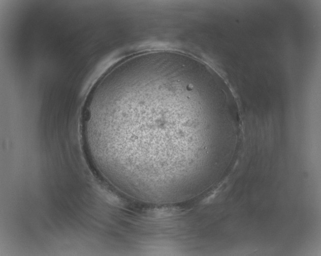 X0000054400103200508121709