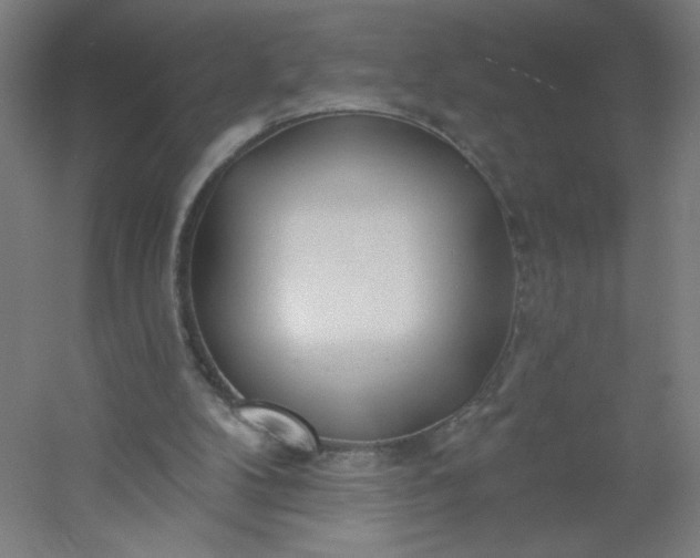 X0000054400104200508121709