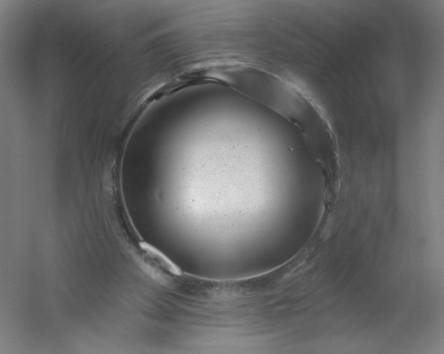 X0000054400105200508121709