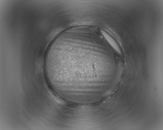 X0000054400107200508121709