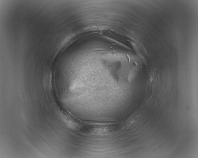 X0000054400110200508121709