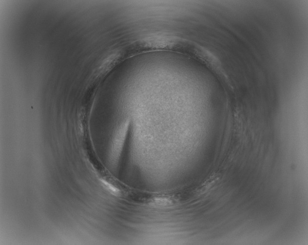 X0000054400114200508121709