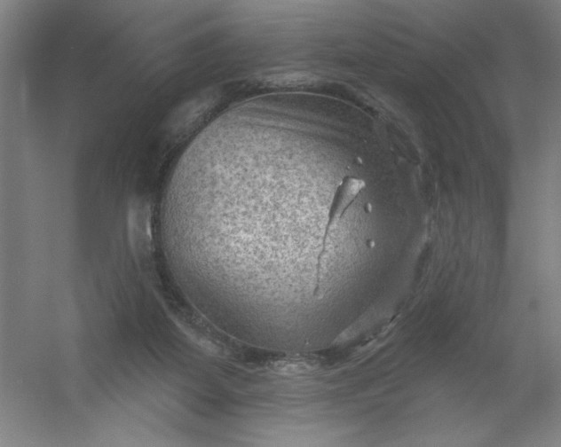 X0000054400115200508121709