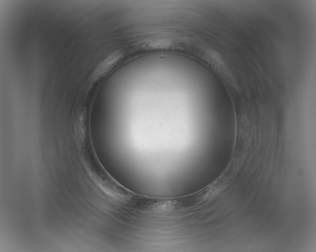 X0000054400116200508121709