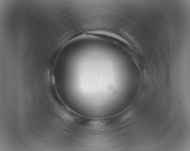 X0000054400117200508121709