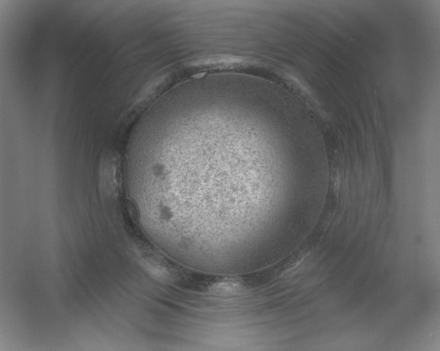 X0000054400119200508121709