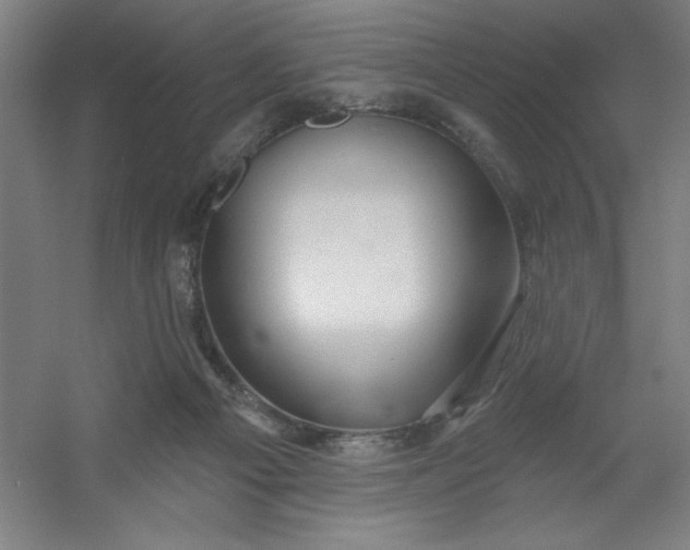 X0000054400121200508121709