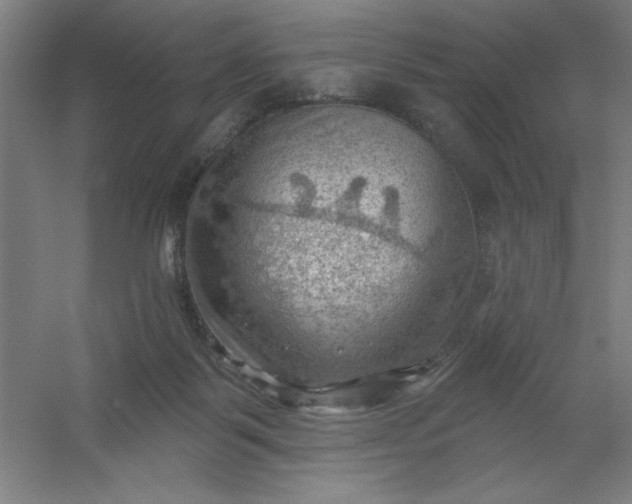 X0000054400123200508121709