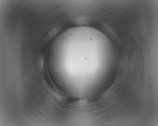 X0000054400124200508121709