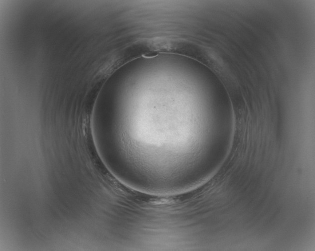 X0000054400125200508121709