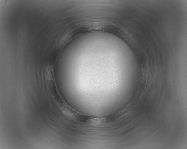 X0000054400126200508121709