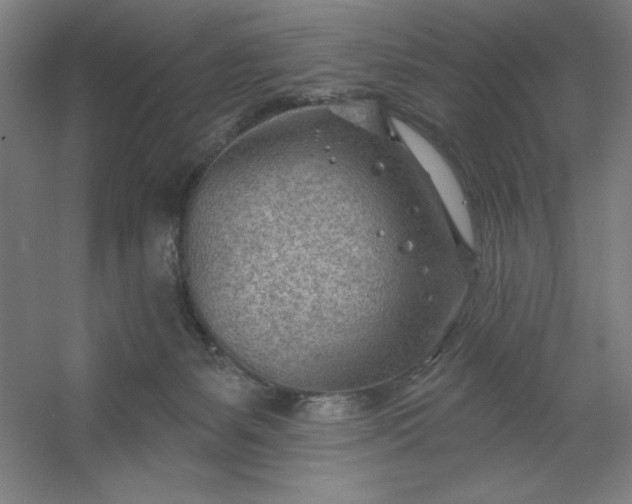 X0000054400127200508121709