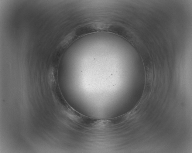 X0000054400128200508121709