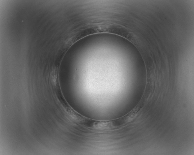 X0000054400129200508121709