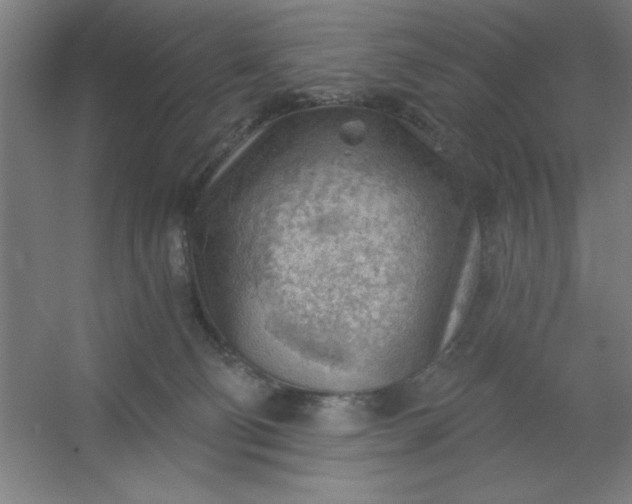 X0000054400130200508121709