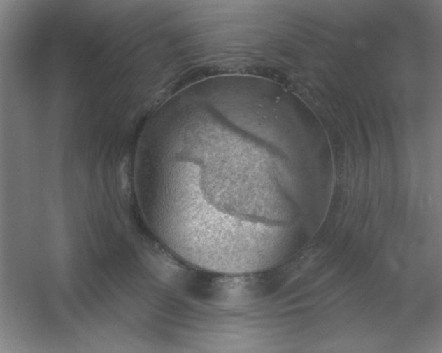 X0000054400131200508121709