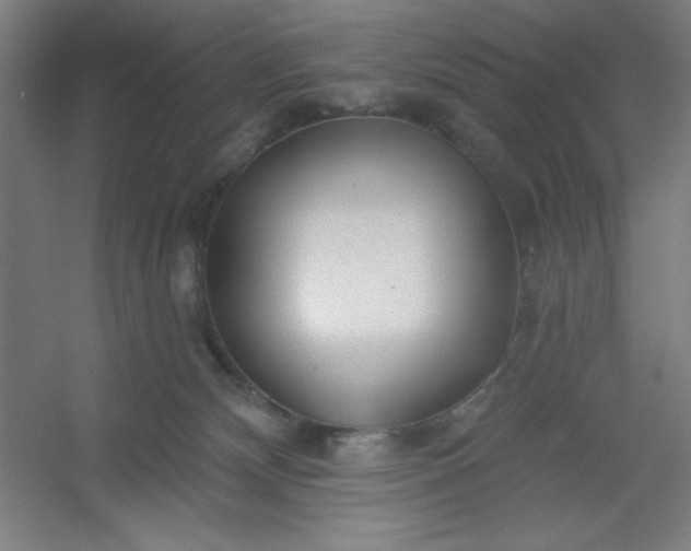 X0000054400132200508121709