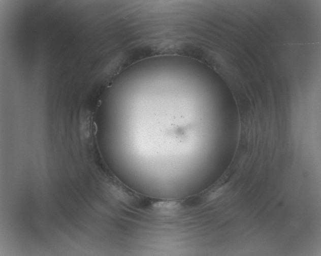 X0000054400133200508121709