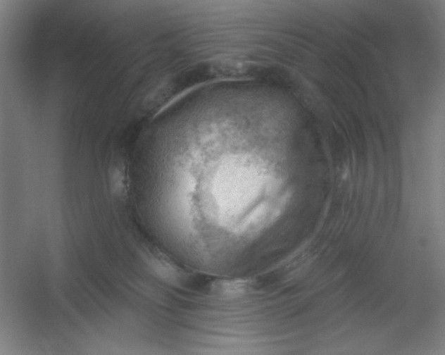 X0000054400134200508121709