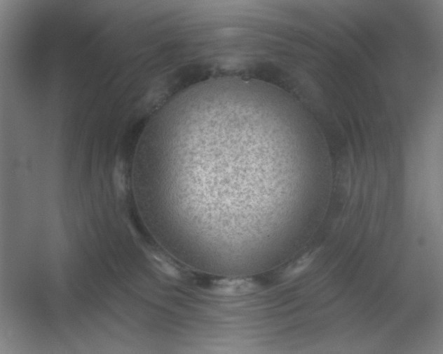 X0000054400135200508121709