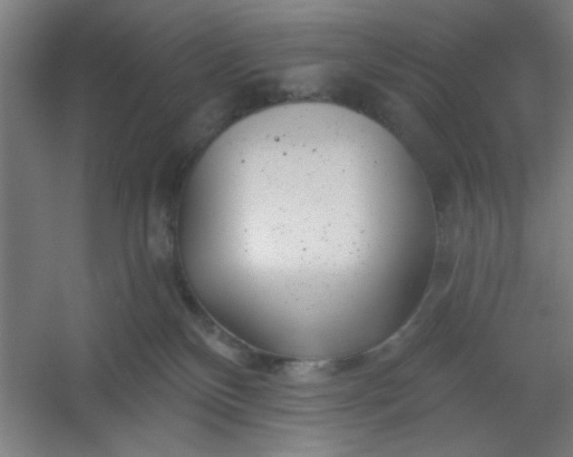 X0000054400136200508121709