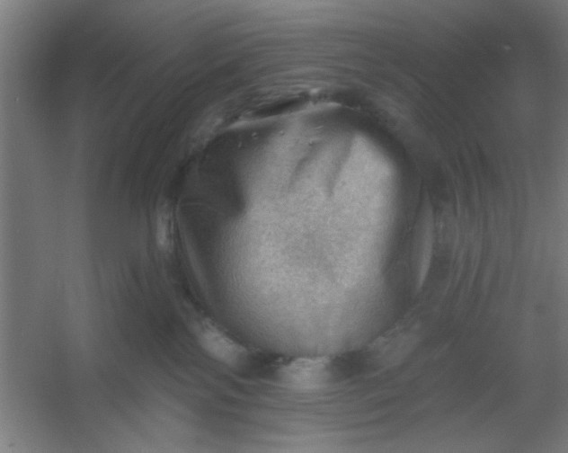 X0000054400138200508121709