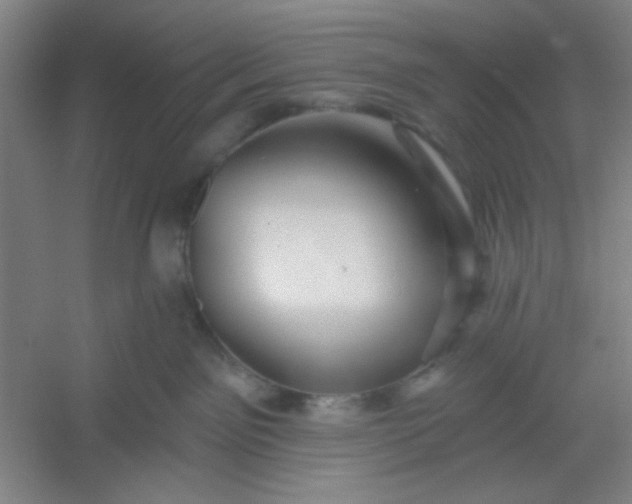 X0000054400141200508121709