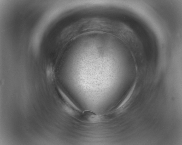 X0000054400142200508121709