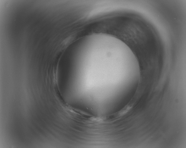 X0000054400143200508121709