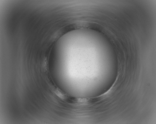 X0000054400144200508121709