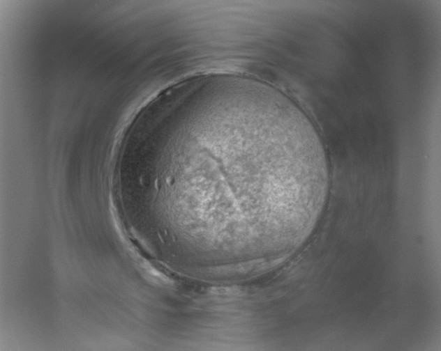 X0000054400145200508121708