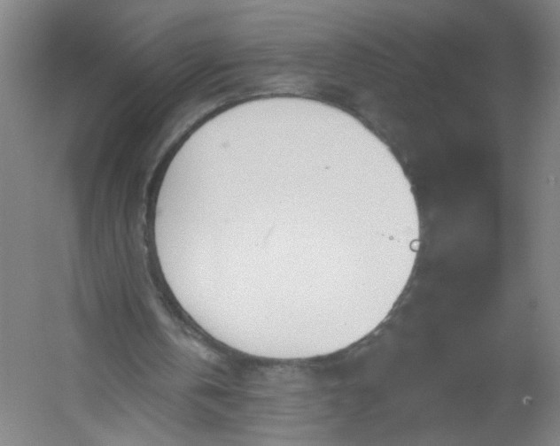 X0000054400146200508121708