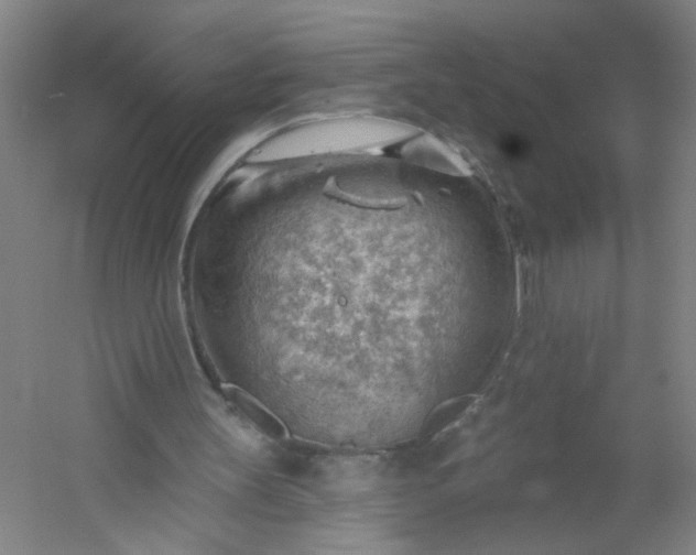 X0000054400147200508121708