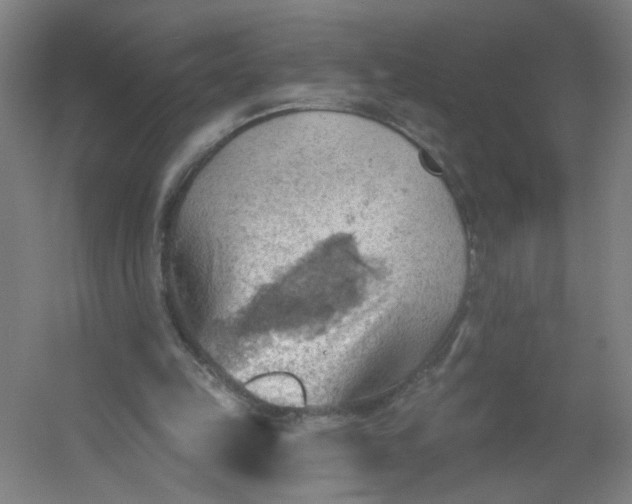 X0000054400149200508121708