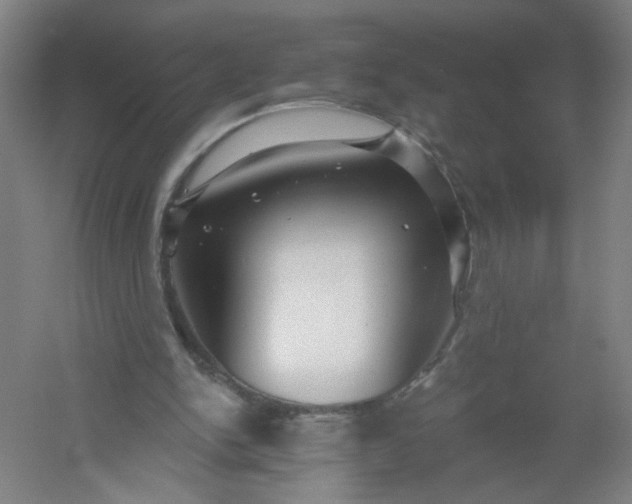 X0000054400150200508121708