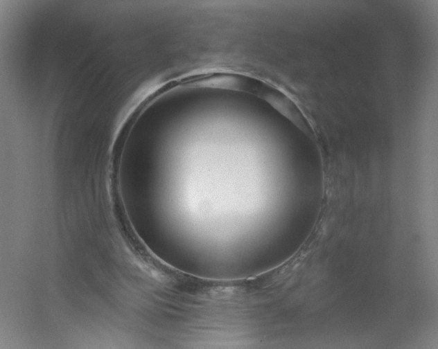 X0000054400152200508121708