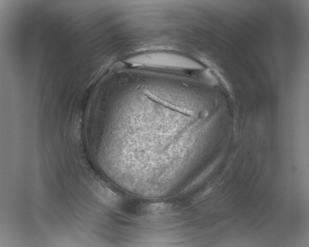 X0000054400153200508121708