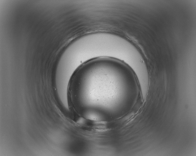 X0000054400154200508121708